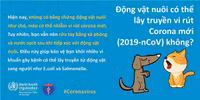 Uống rượu bia, ăn tỏi có thể giúp phòng virus corona hay không?