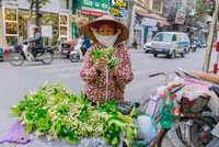 Hương bưởi tháng 3 