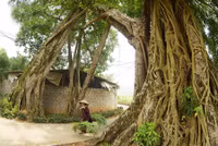 Khung cảnh làng quê đẹp thơ mộng ở Đường Lâm