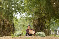 Khung cảnh làng quê đẹp thơ mộng ở Đường Lâm
