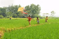 Khung cảnh làng quê đẹp thơ mộng ở Đường Lâm