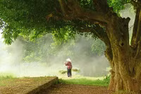 Khung cảnh làng quê đẹp thơ mộng ở Đường Lâm
