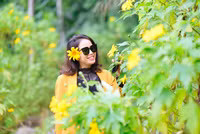 Đến Tản Viên sơn ngắm hoa báo đông