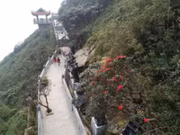 Mùa xuân lên đỉnh Fansipan 