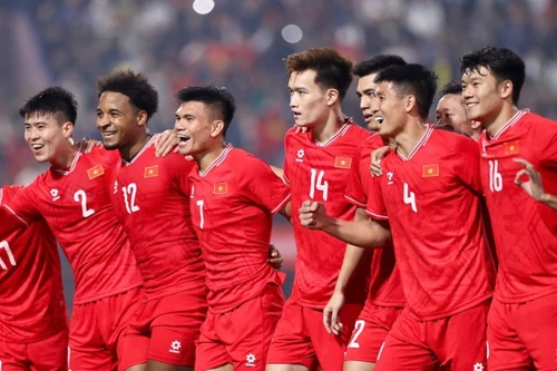 ĐT Việt Nam thi đấu ở hạng nào của AFC Nations League?