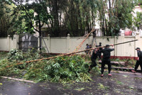 Cảnh sát bảo vệ mục tiêu khắc phục sự cố bão Yagi tại cơ quan đại diện ngoại giao