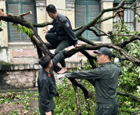 Cảnh sát bảo vệ mục tiêu khắc phục sự cố bão Yagi tại cơ quan đại diện ngoại giao