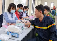 Nhiều hoạt động thiết thực mừng 90 năm ngày thành lập Đoàn