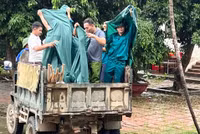 Lực lượng vũ trang huyện Chương Mỹ căng mình hỗ trợ nhân dân chống lũ