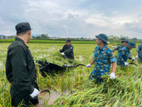 Hơn 100 chiến sỹ Cảnh sát cơ động và bộ đội xuống đồng giúp dân Sóc Sơn gặt lúa chạy lũ