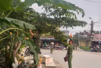 noibai10-5371.jpg