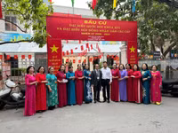 bau7.jpg