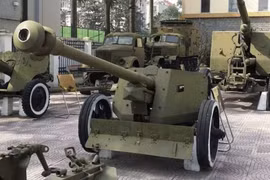 Pháo chống tăng Pak 40 - Từ vũ khí Đức đến pháo bảo vệ bờ biển Việt Nam