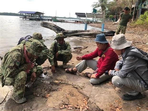 Các chuyên gia Bộ Môi trường Campuchia khảo sát, nghiên cứu về mẫu hóa thạch xương động vật được cho là khủng long