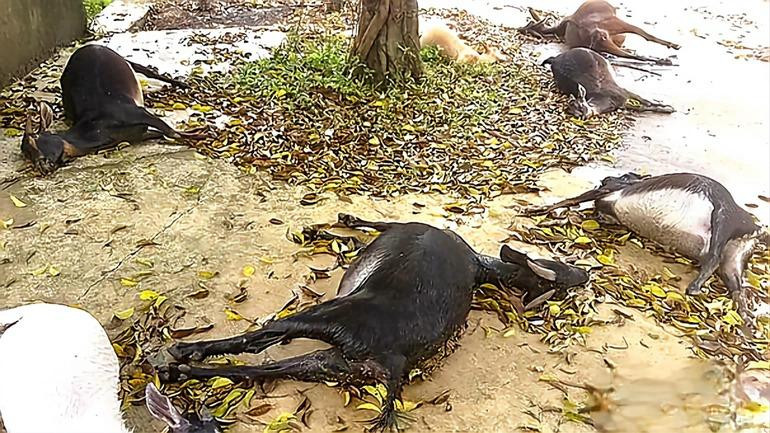 Hiện trường vụ việc. Ảnh: Dân Trí