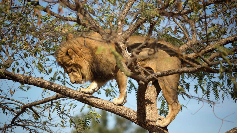 Ảnh minh họa Ảnh minh họa