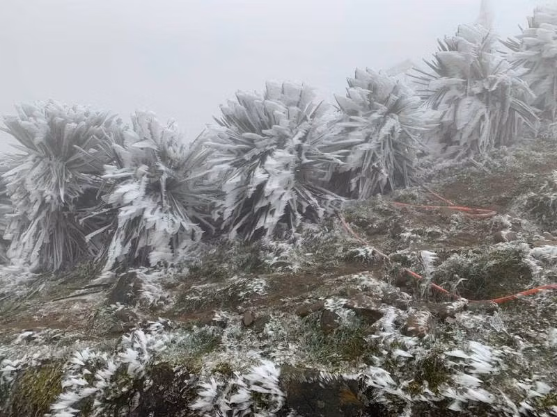 Miền Bắc chuẩn bị đón đợt không khí lạnh cường độ mạnh, gây rét đậm rét hại và băng giá