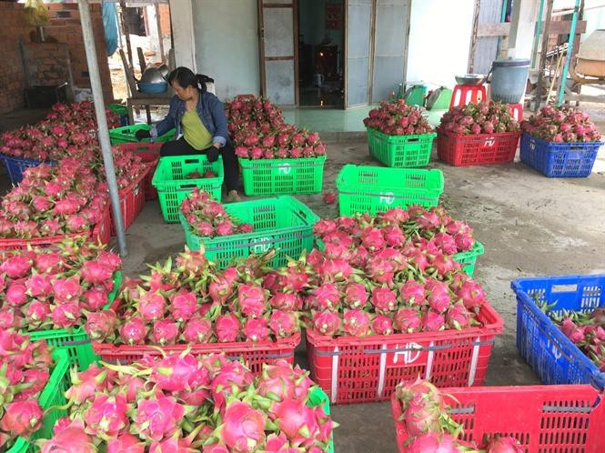 Ngành nông nghiệp đặt mục tiêu trở thành cường quốc chế biển nông sản