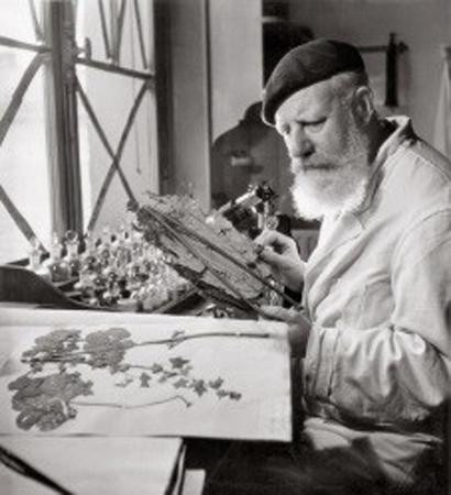 Nhà thực vật học người Pháp André Guillaumin (André Louis Joseph Edmond Armand Guillaumin) Nhà thực vật học người Pháp André Guillaumin (André Louis Joseph Edmond Armand Guillaumin)