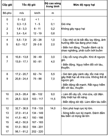 Với sức gió giật cấp 17, bão số 9 gây tác hại vô cùng lớn