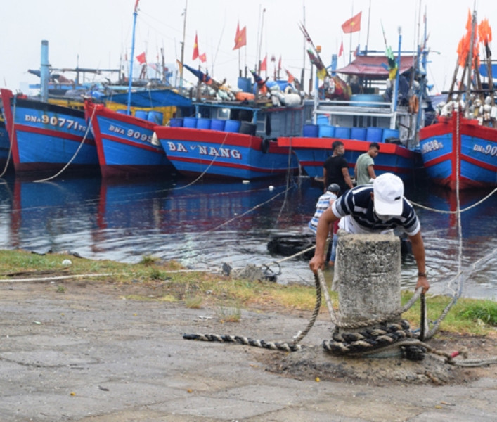 Địa phương nằm trong vùng đổ bộ của bão số 9 đang tất bật các biện pháp ứng phó Địa phương nằm trong vùng đổ bộ của bão số 9 đang tất bật các biện pháp ứng phó