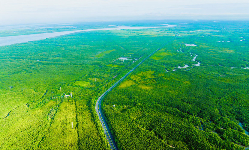 Cung đường marathon đẹp nhất và độc đáo nhất Việt Nam với hệ sinh thái phong phú và hùng vĩ - Khu dự trữ sinh quyển rừng ngập mặn quốc tế được UNESCO công nhận Cung đường marathon đẹp nhất và độc đáo nhất Việt Nam với hệ sinh thái phong phú và hùng vĩ - Khu dự trữ sinh quyển rừng ngập mặn quốc tế được UNESCO công nhận