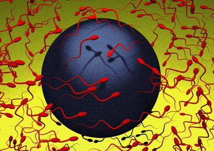 Chất diệt tinh binh ảnh 1