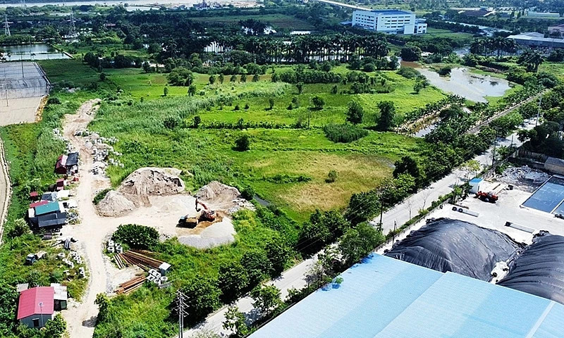 Bốn doanh nghiệp "ôm" đất chậm triển khai bị đề nghị công khai vi phạm Bốn doanh nghiệp "ôm" đất chậm triển khai bị đề nghị công khai vi phạm