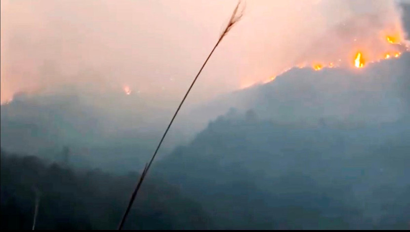 Cháy rừng quốc gia Hoàng Liên Sơn từ chiều 19/2