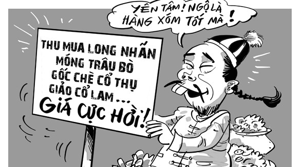 Khôn và dại ảnh 1