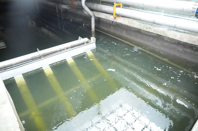 Nước thải sau xử lý từ Nhà máy xử lý nước thải hồ Tây Nước thải sau xử lý từ Nhà máy xử lý nước thải hồ Tây