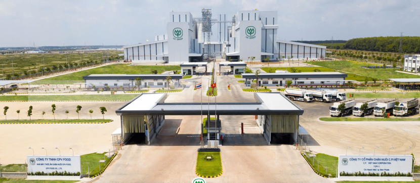 Công ty Chăn nuôi C.P Việt Nam vừa có động thái cho nghỉ việc người lên tiếng tố cáo Công ty này trà trộn lợn bệnh bán ra thị trường cho người tiêu dùng Công ty Chăn nuôi C.P Việt Nam vừa có động thái cho nghỉ việc người lên tiếng tố cáo Công ty này trà trộn lợn bệnh bán ra thị trường cho người tiêu dùng