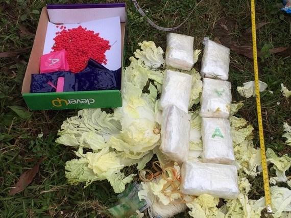 16.000 viên ma túy tổng hợp được bọc trong rau cải thảo vứt lề đường. Nguồn: Sggp.org.vn
