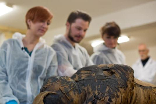 Nhóm nghiên cứu tìm hiểu về xác ướp Ai Cập