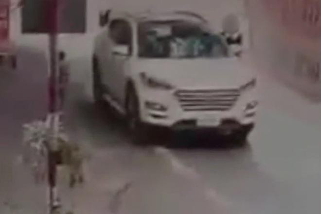 Hình ảnh trước khi vụ tai nạn giao thông thương tâm xảy ra. Ảnh chụp màn hình Hình ảnh trước khi vụ tai nạn giao thông thương tâm xảy ra. Ảnh chụp màn hình