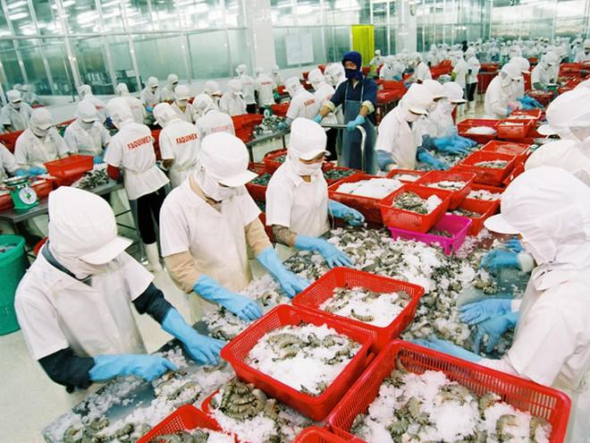 Bộ NN&PTNT cảnh báo các doanh nghiệp xuất khẩu tôm đi Trung Quốc cần lưu ý về việc tạm dừng nhập khẩu tại cảng Trạm Giang Bộ NN&PTNT cảnh báo các doanh nghiệp xuất khẩu tôm đi Trung Quốc cần lưu ý về việc tạm dừng nhập khẩu tại cảng Trạm Giang