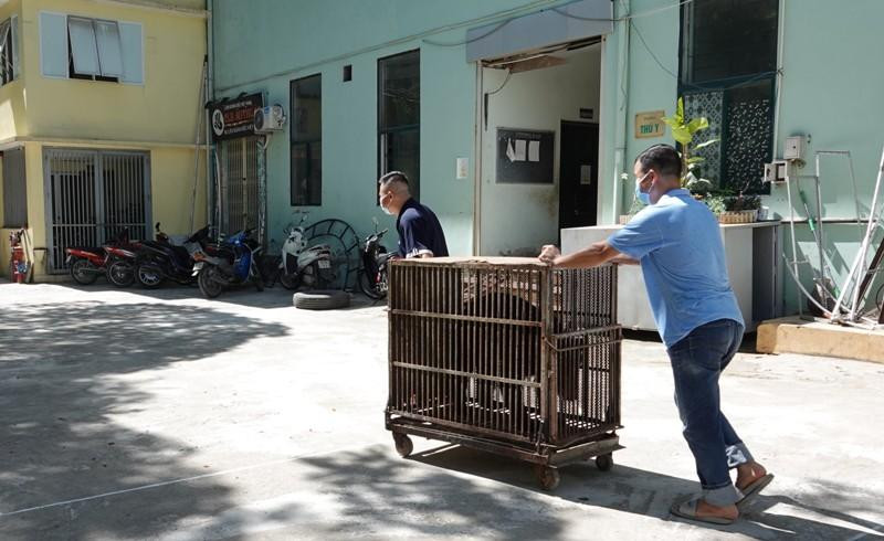 Như vậy, từ nay, rạp xiếc Trung ương không còn sử dụng gấu vào mục đích làm xiếc