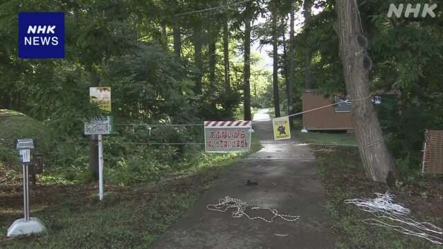 Từ chiều 27-8, việc ra vào khu di tích bị cấm sau khi phát hiện có 3 con gấu băng qua đường gần bãi đỗ xe Từ chiều 27-8, việc ra vào khu di tích bị cấm sau khi phát hiện có 3 con gấu băng qua đường gần bãi đỗ xe