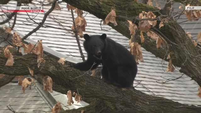 Ảnh minh họa Ảnh minh họa