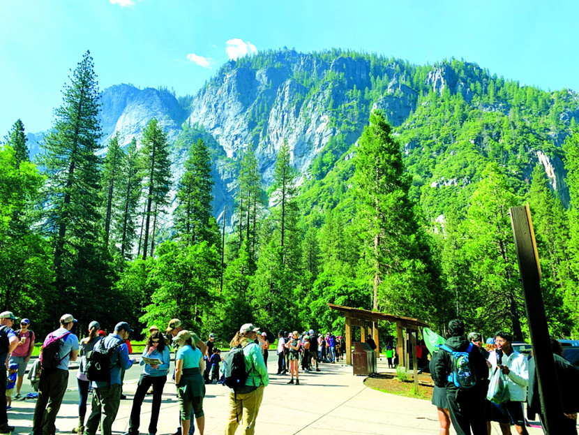 Khách du lịch đợi xe buýt trung chuyển đưa đến điểm tham quan ở rừng Yosemite vào dịp Quốc khánh Mỹ