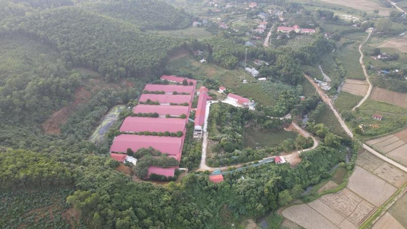 Trang trại chăn nuôi lợn quy mô 4.000 con của ông Nguyễn Xuân Dũng nằm trong phạm vi thôn Hương Canh