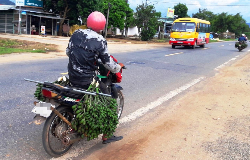 Giá cau non nhiều nơi đã tăng gấp đôi, lên 65.000 đồng/kg Giá cau non nhiều nơi đã tăng gấp đôi, lên 65.000 đồng/kg
