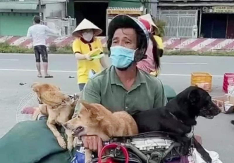 Chủ đàn chó 15 con đã từ Long An về Cà Mau và kết quả xét nghiệm dương tính với SARS-CoV-2
