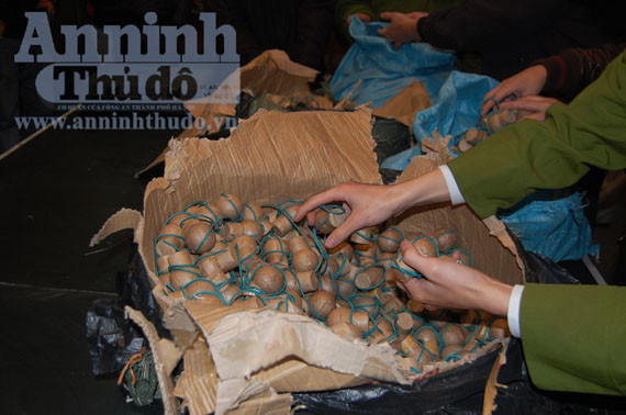 Bị bắt khi đang tuồn "pháo lựu đạn" về Hà Nội ảnh 2