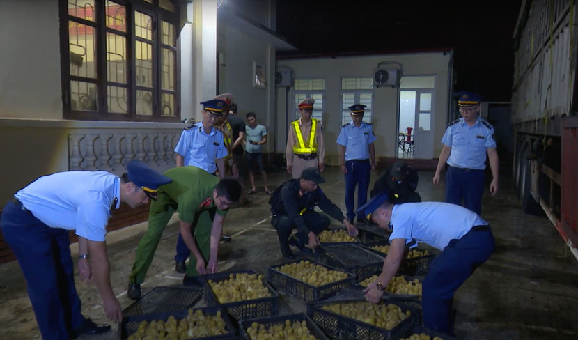 Lực lượng chức năng bắt giữ 1 vụ vận chuyển giống gia cầm nhập lậu ở Lạng Sơn Lực lượng chức năng bắt giữ 1 vụ vận chuyển giống gia cầm nhập lậu ở Lạng Sơn