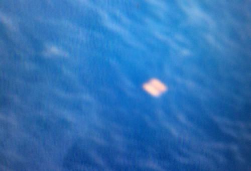 Vật thể nghi phao cứu sinh, thực chất chỉ là cuộn cáp đã bám rêu ảnh 1