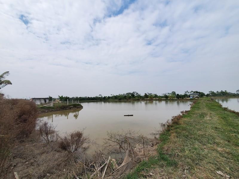 Khu đồng nằm trong quy hoạch mở bãi đỗ xe nhưng xã Hoàng Long tự quy hoạch thêm cây xăng rồi mời dân lên họp với doanh nghiệp để mua bán đất ruộng Khu đồng nằm trong quy hoạch mở bãi đỗ xe nhưng xã Hoàng Long tự quy hoạch thêm cây xăng rồi mời dân lên họp với doanh nghiệp để mua bán đất ruộng