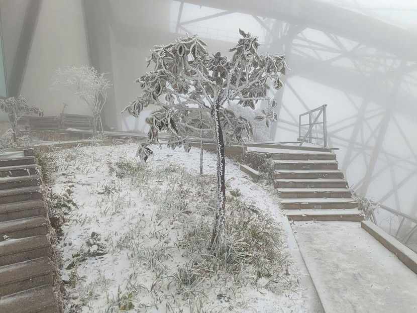 Tuyết phủ trắng cây cỏ, các lối đi Tuyết phủ trắng cây cỏ, các lối đi