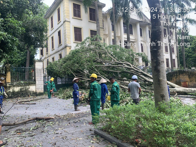 Cán bộ, công nhân viên cây xanh đã giải tỏa hơn 7.000 cây xanh gãy, đổ do bão số 3