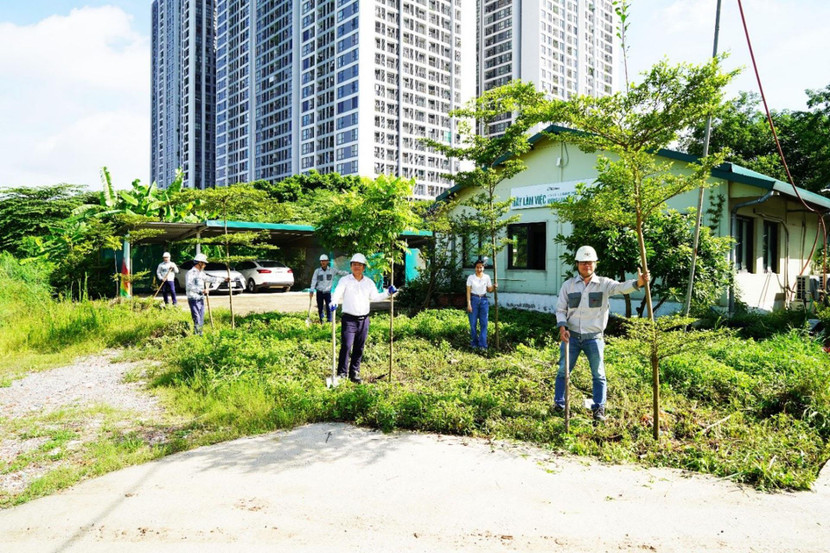 CBNV CityLand chi nhánh Hà Nội với phong trào ươm cây